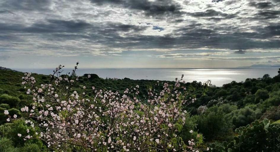 فندق Salmagilandia Terra Mala المظهر الخارجي الصورة